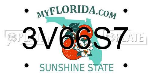 3V66S7 Florida License Plate