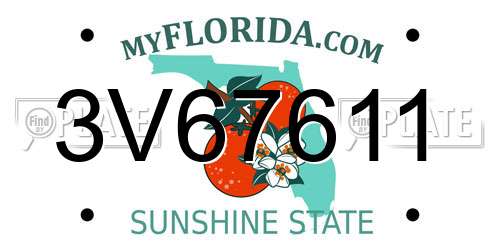 3V67611 Florida License Plate
