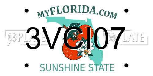 3VCI07 Florida License Plate