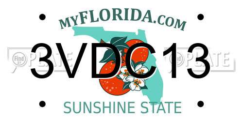 3VDC13 Florida License Plate