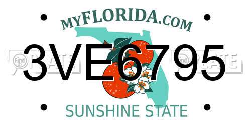 3VE6795 Florida License Plate