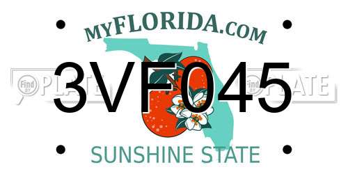 3VF045 Florida License Plate