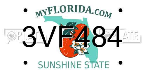 3VF484 Florida License Plate
