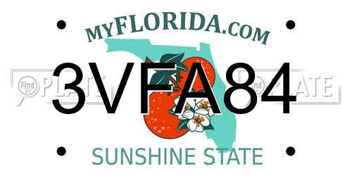 3VFA84 Florida License Plate
