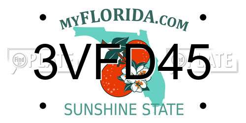 3VFD45 Florida License Plate