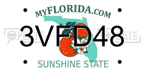 3VFD48 Florida License Plate