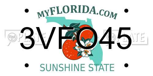 3VFO45 Florida License Plate