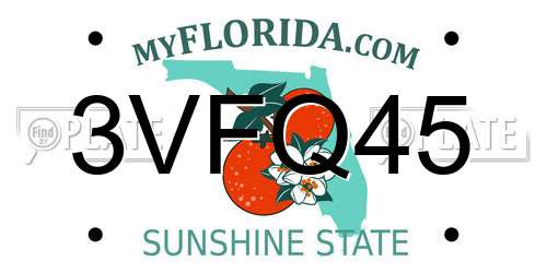 3VFQ45 Florida License Plate