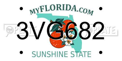 3VG682 Florida License Plate