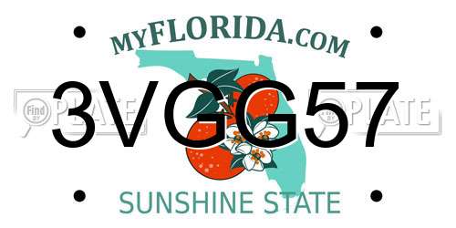 3VGG57 Florida License Plate