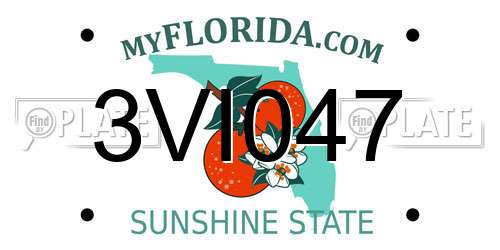 3VI047 Florida License Plate