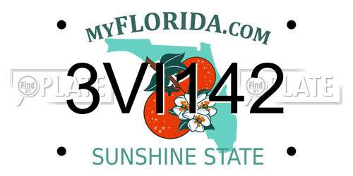 3VI142 Florida License Plate