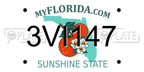 3VI147 Florida License Plate