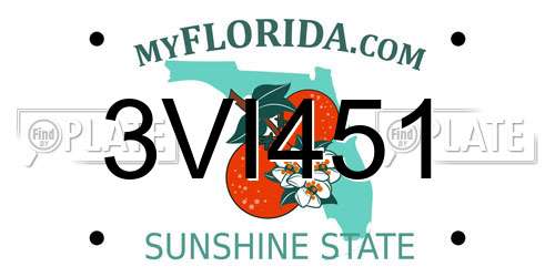 3VI451 Florida License Plate