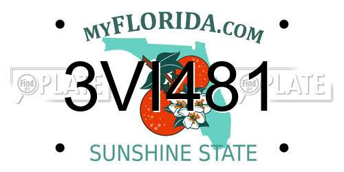 3VI481 Florida License Plate
