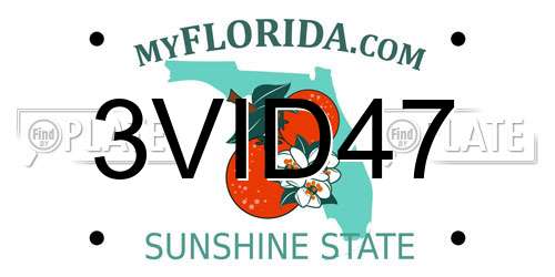 3VID47 Florida License Plate