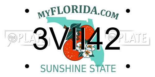 3VII42 Florida License Plate