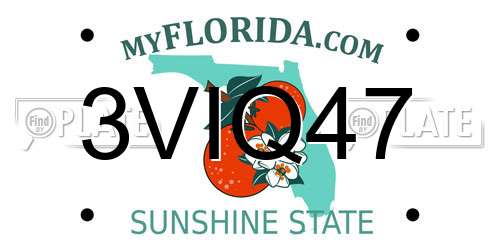 3VIQ47 Florida License Plate