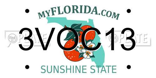 3VOC13 Florida License Plate