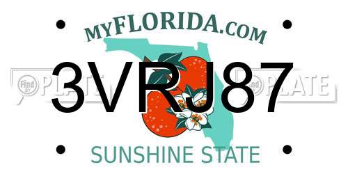 3VRJ87 Florida License Plate