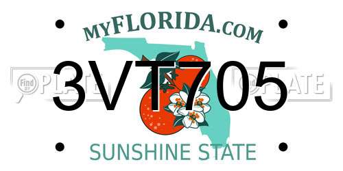 3VT705 Florida License Plate