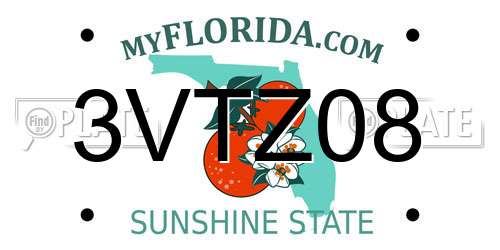 3VTZ08 Florida License Plate