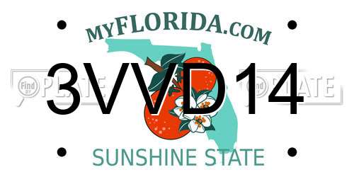 3VVD14 Florida License Plate