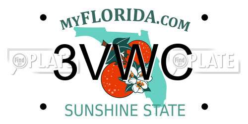 3VWC Florida License Plate