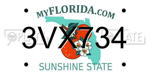 3VX734 Florida License Plate