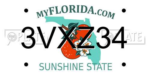 3VXZ34 Florida License Plate