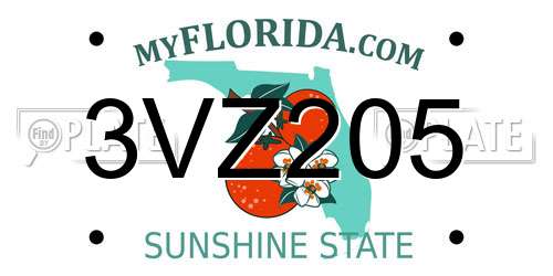 3VZ205 Florida License Plate