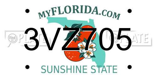 3VZ705 Florida License Plate