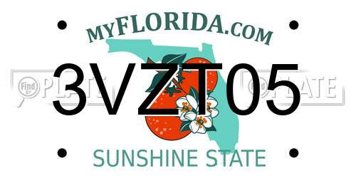 3VZT05 Florida License Plate