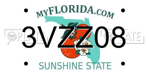 3VZZ08 Florida License Plate