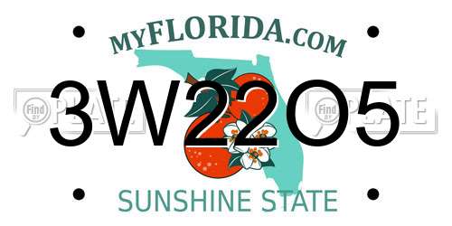 3W22O5 Florida License Plate