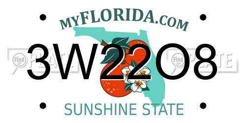 3W22O8 Florida License Plate