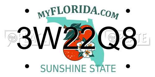 3W22Q8 Florida License Plate