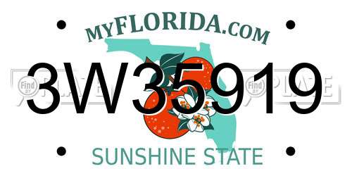 3W35919 Florida License Plate