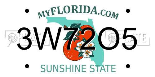 3W72O5 Florida License Plate