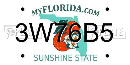 3W76B5 Florida License Plate