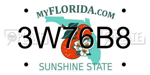 3W76B8 Florida License Plate