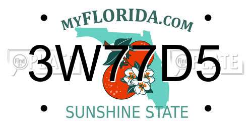 3W77D5 Florida License Plate