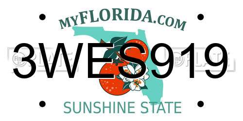 3WES919 Florida License Plate