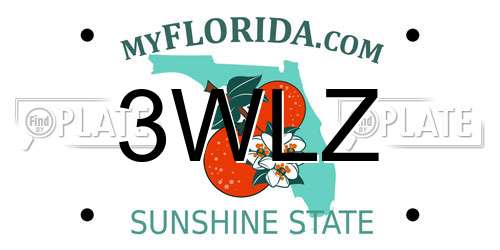 3WLZ Florida License Plate
