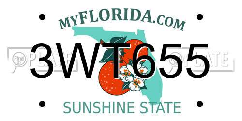 3WT655 Florida License Plate