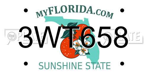 3WT658 Florida License Plate