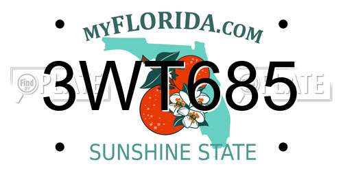 3WT685 Florida License Plate
