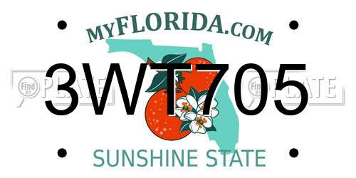 3WT705 Florida License Plate