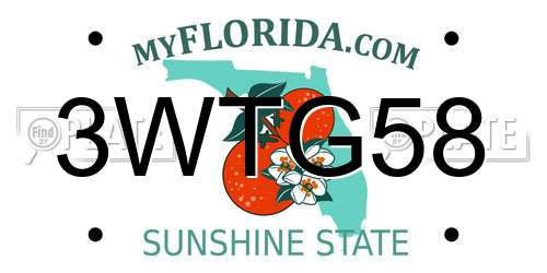 3WTG58 Florida License Plate