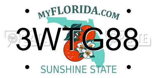 3WTG88 Florida License Plate